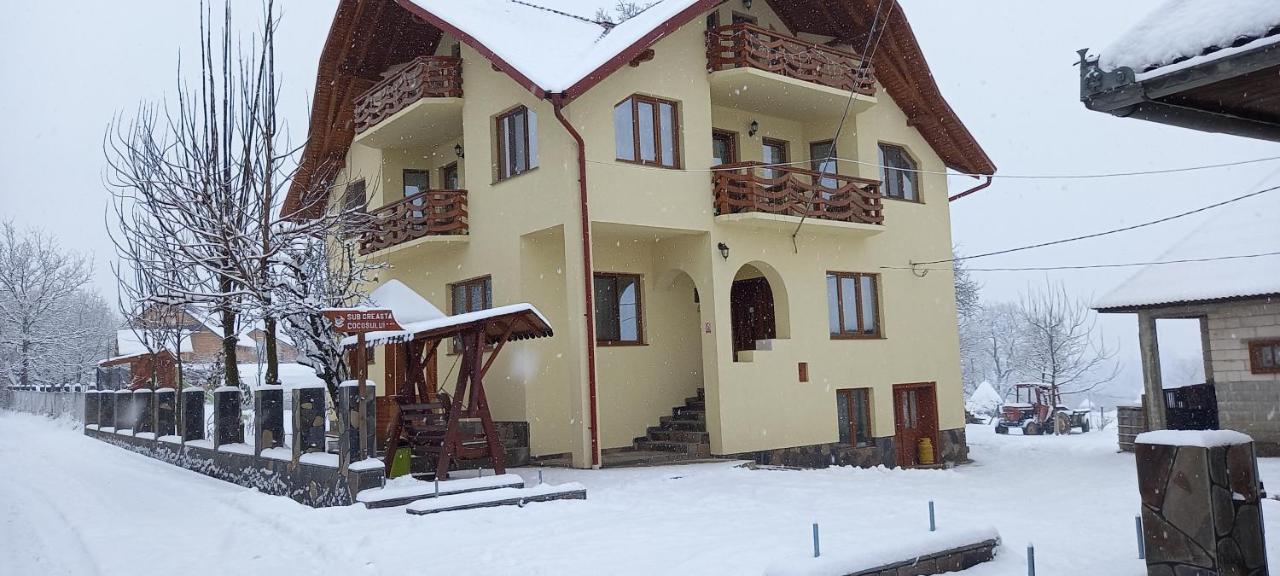 Sub Creasta Cocosului Hotel Breb Exterior foto