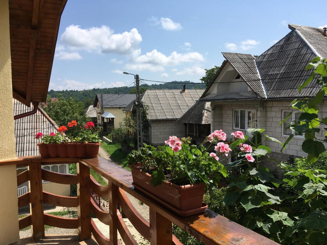 Sub Creasta Cocosului Hotel Breb Exterior foto
