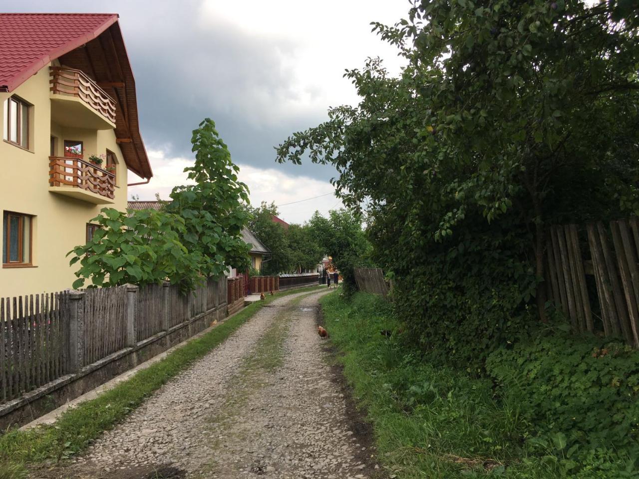 Sub Creasta Cocosului Hotel Breb Exterior foto