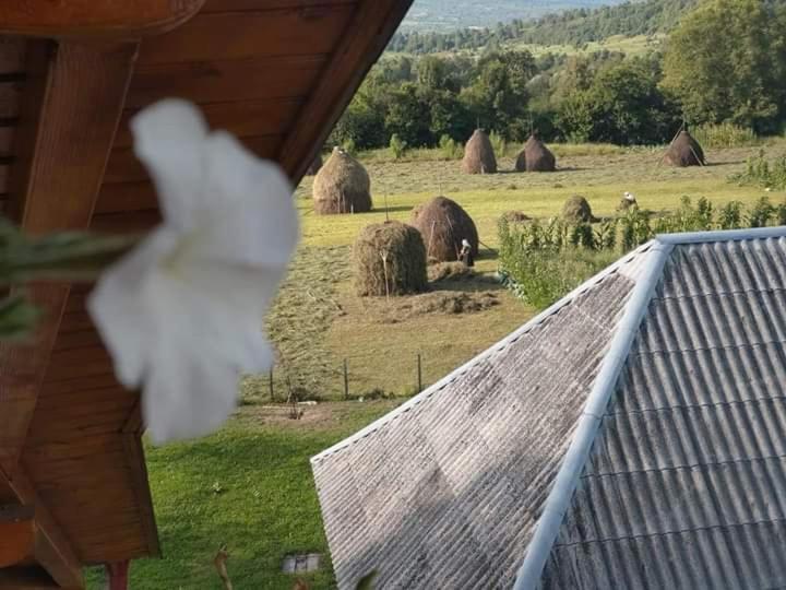 Sub Creasta Cocosului Hotel Breb Exterior foto